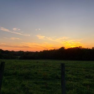 Meet your Posher, Phoebe